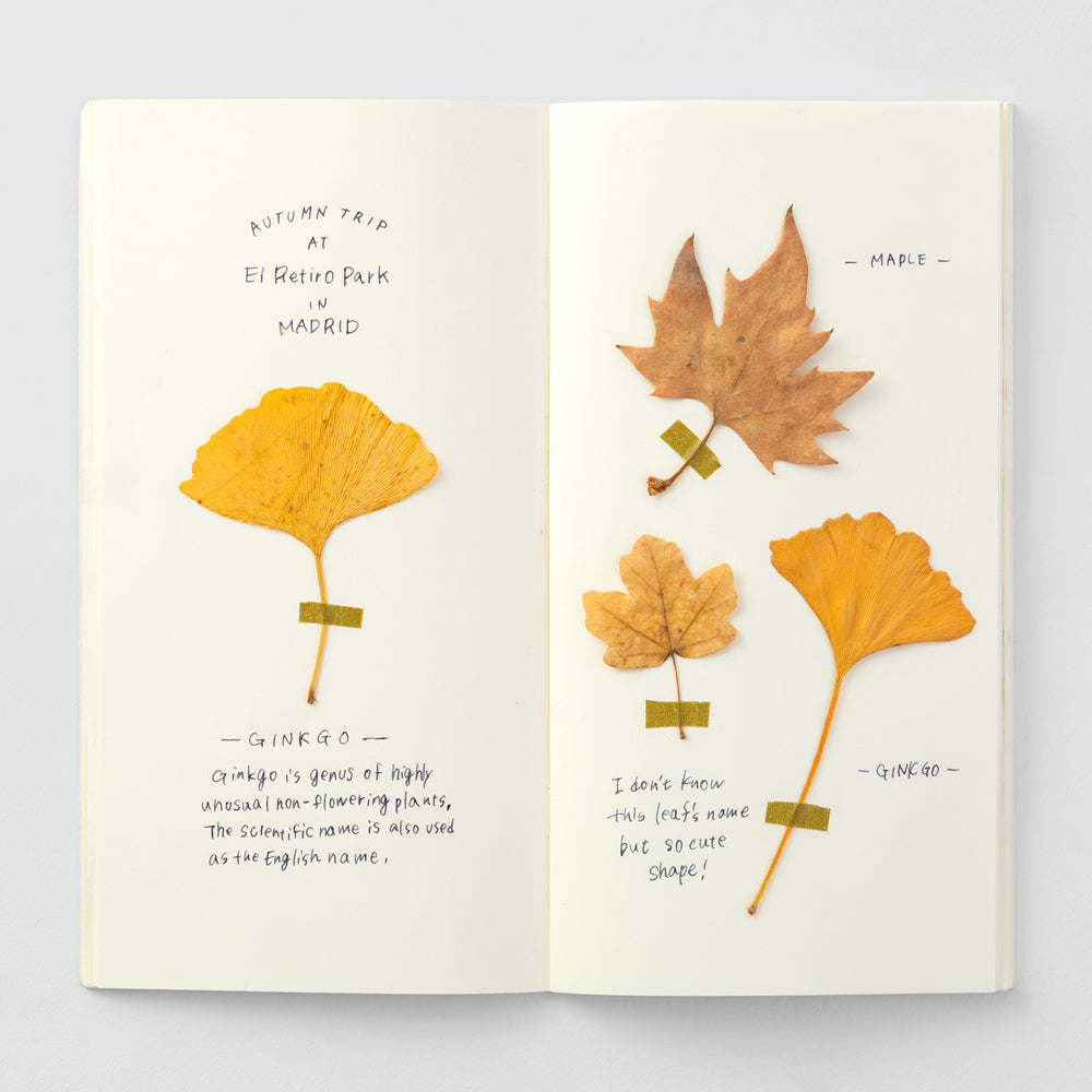 Carnet Papier Crème MD Paper Regular Traveler's Company Notebook 025