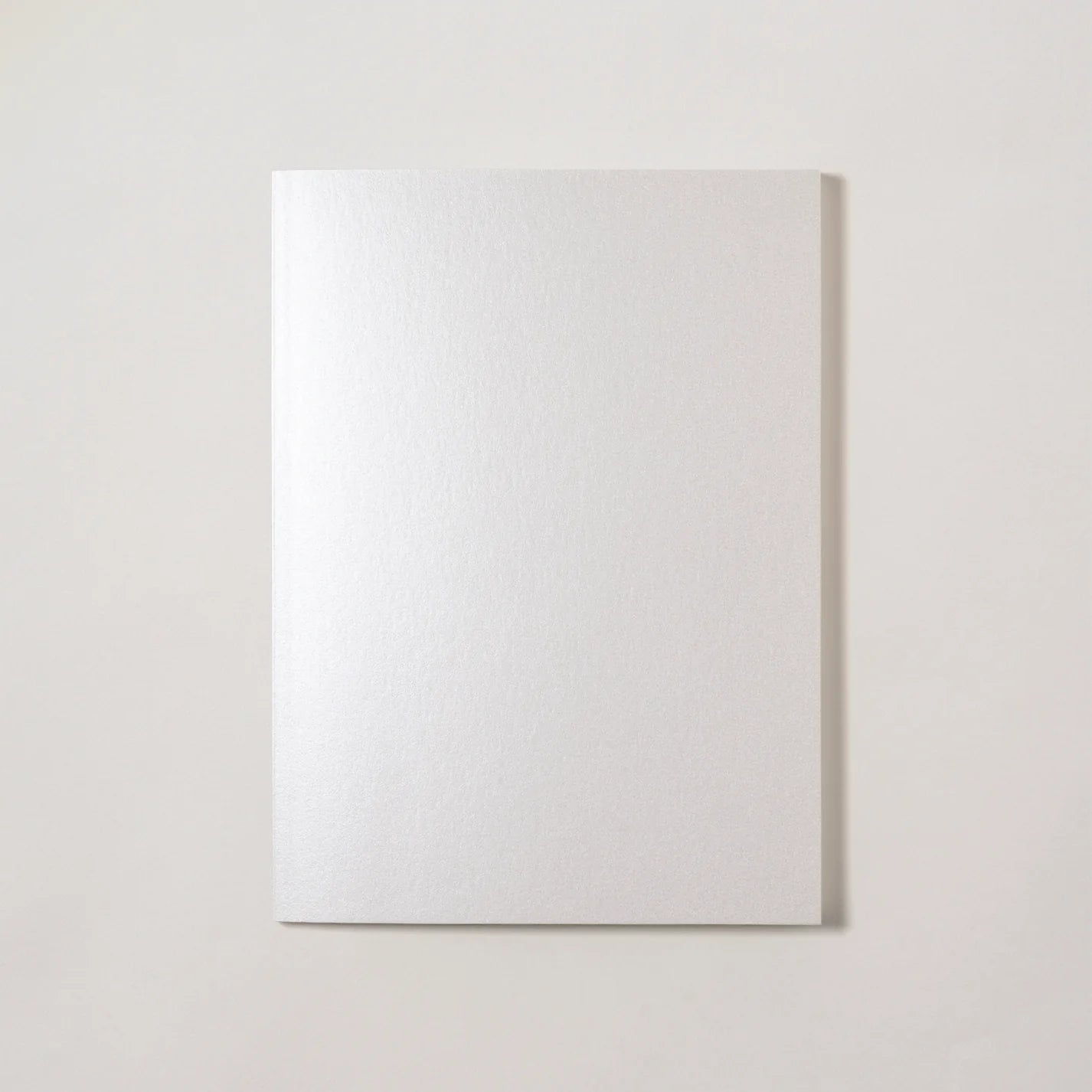Carnet Takeo Dressco Onionskin Blanc