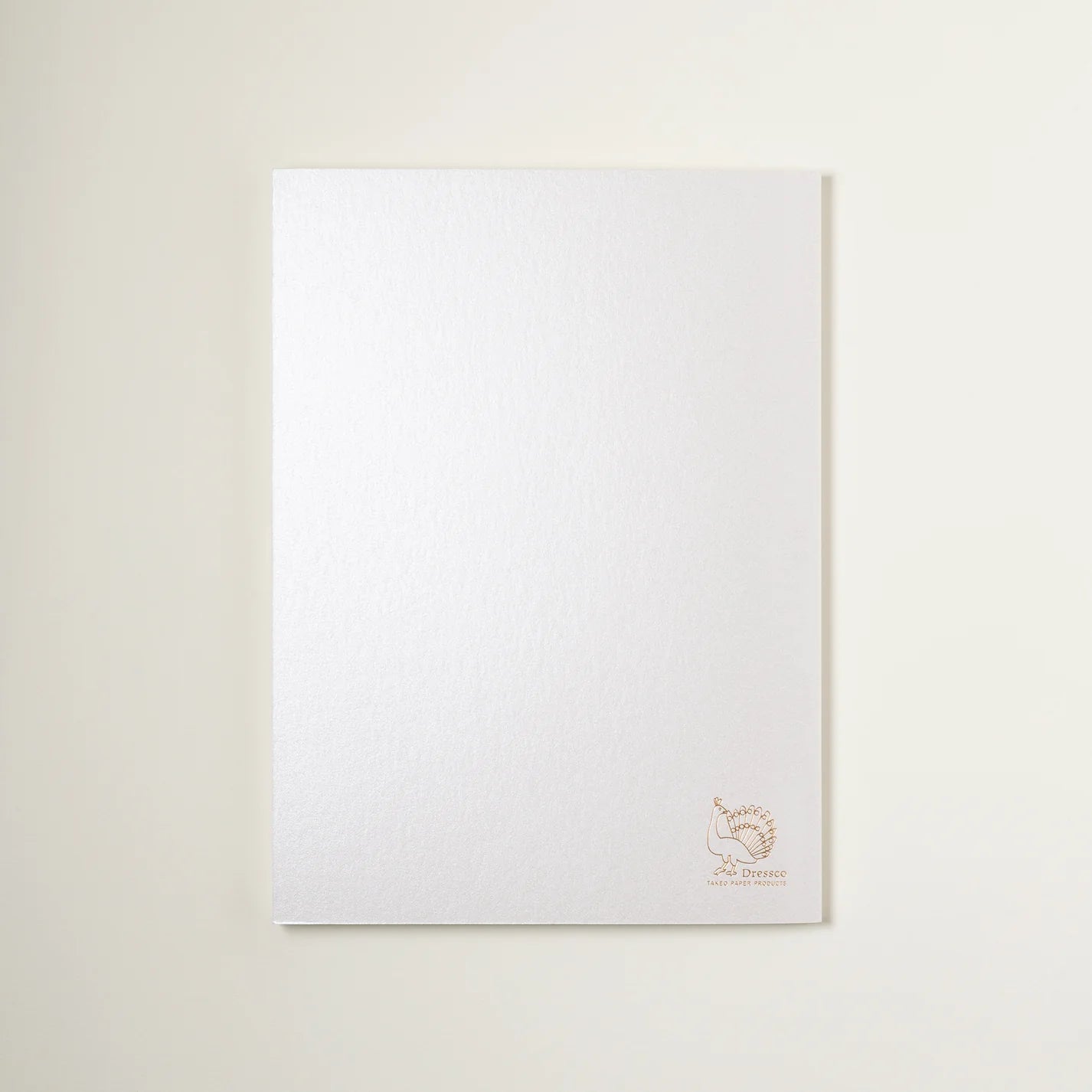 Carnet Takeo Dressco Onionskin Blanc