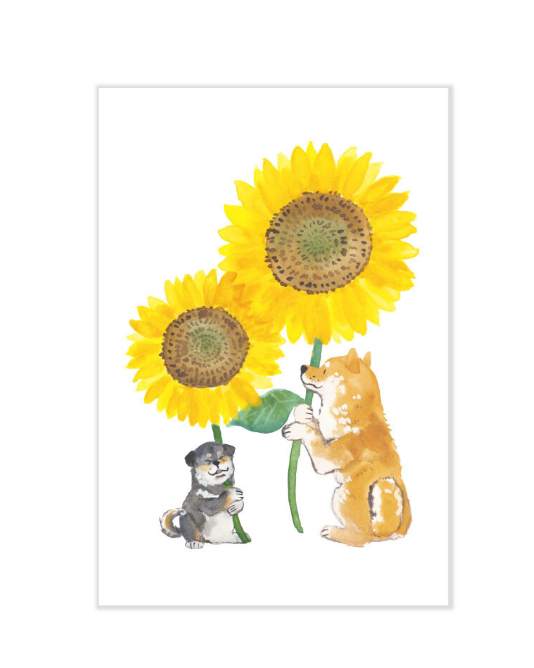 Shiba Sunflower Card