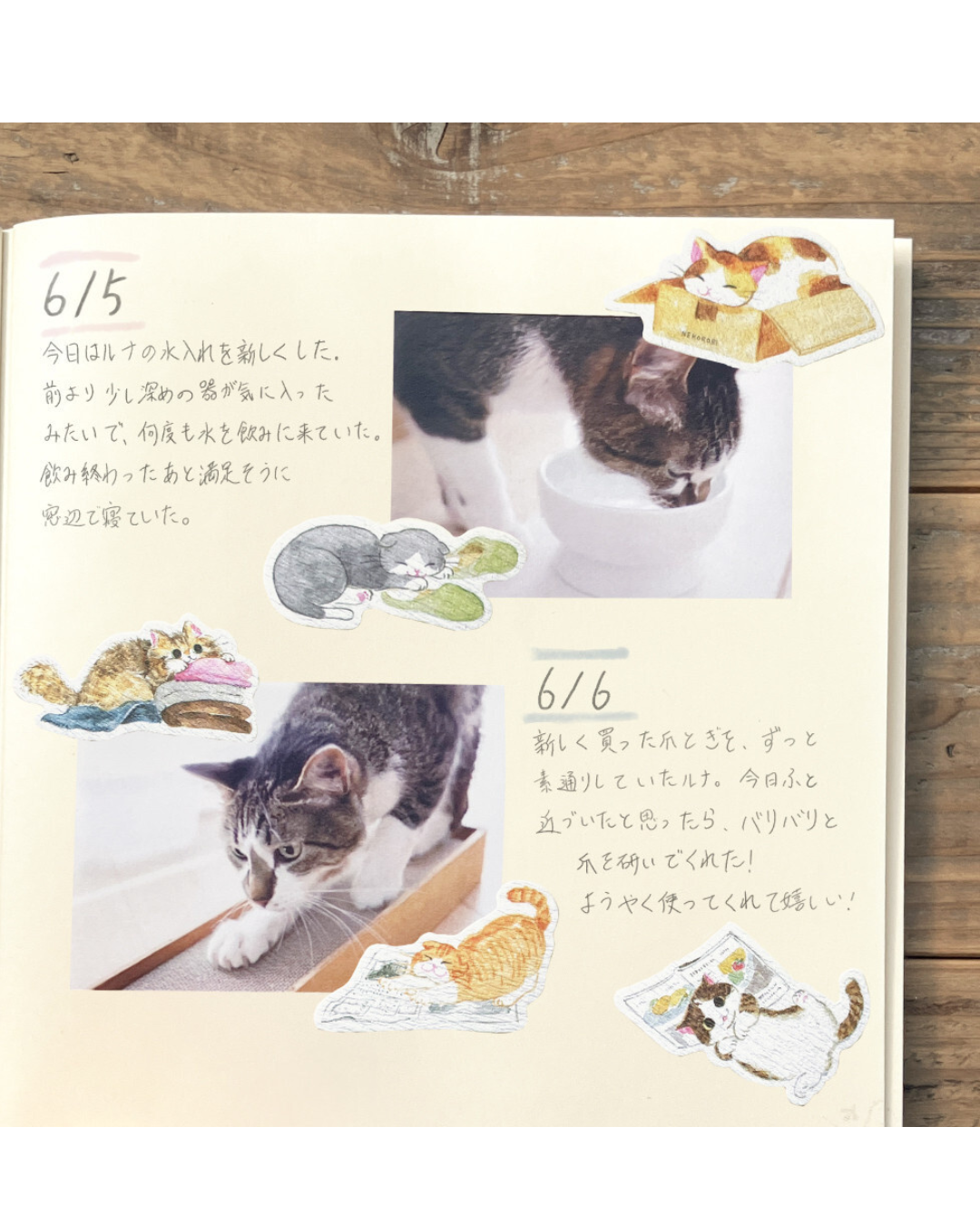 Stickers Flakes Nekorobi Common Cat Situations – NB Co.
