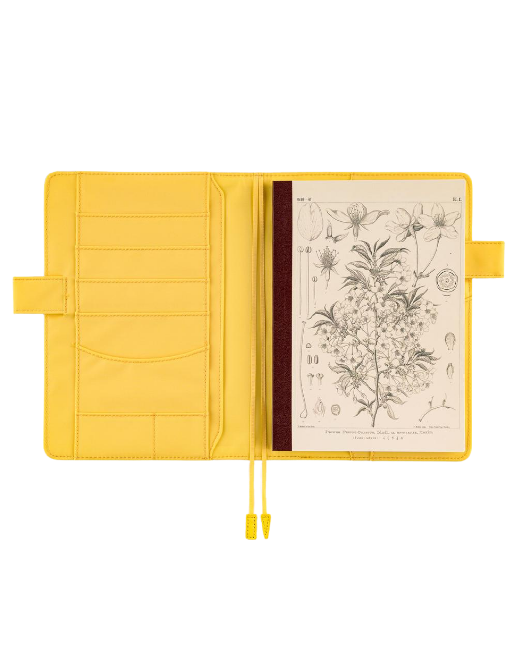 Hobonichi Graph Notebook Carnet A5 – Tomitaro Makino : Yamazakura