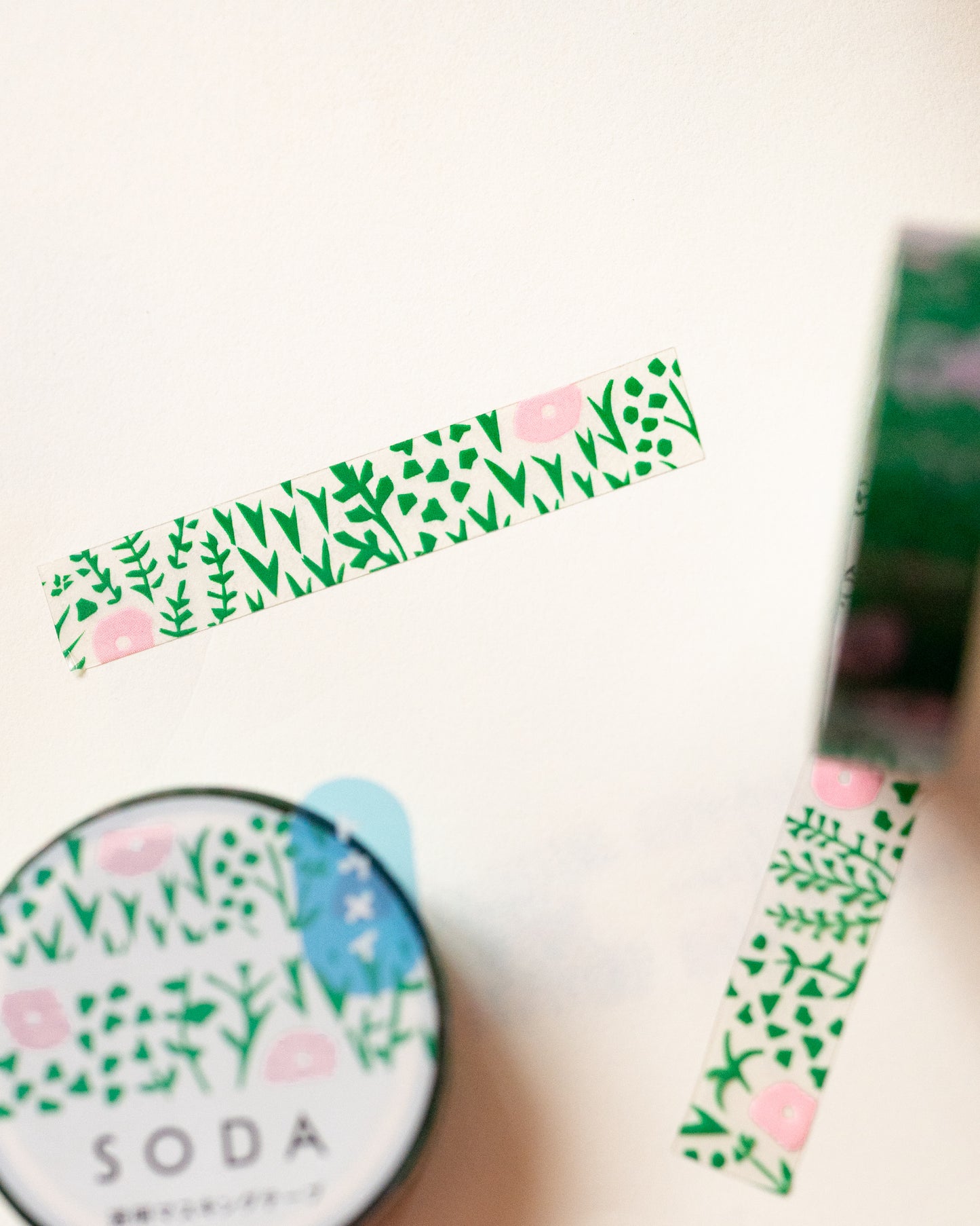 Masking tape Plantes Soda 5eme Edition King Jim