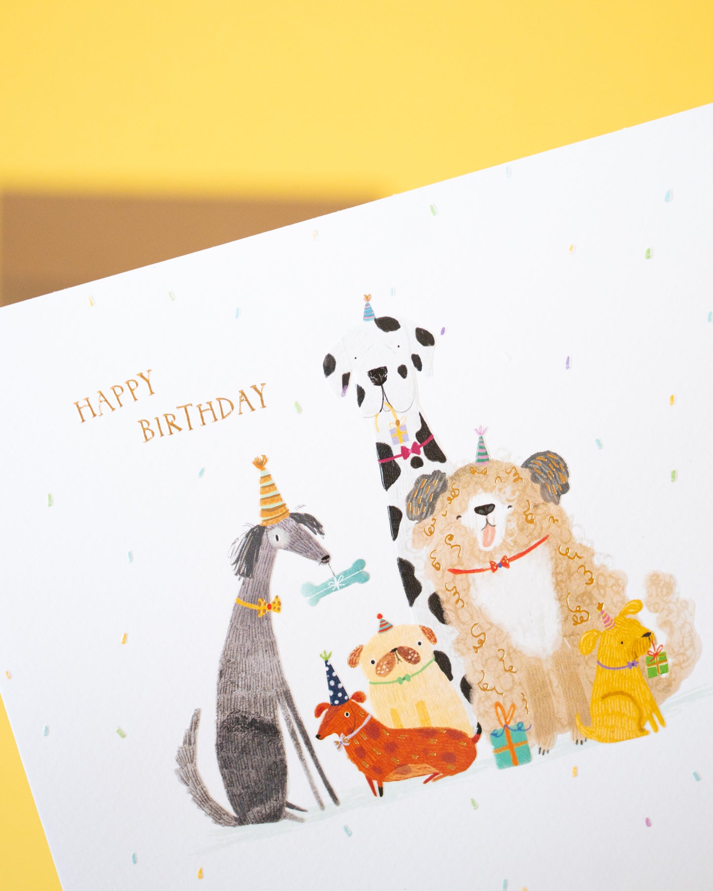Dog Birthday Party Card