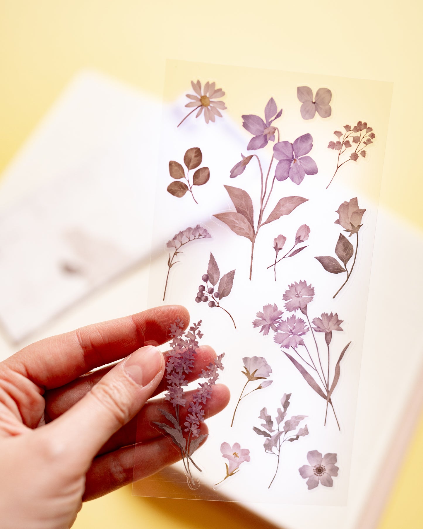 Stickers Botaniques Paper and Plant Mind Wave (3 coloris disponibles)