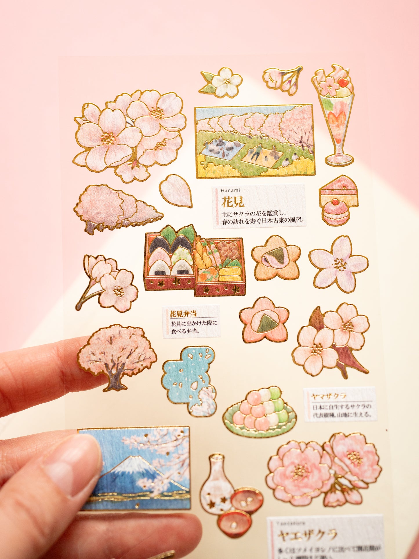 Stickers Sakura Adult Picture Book Kamio