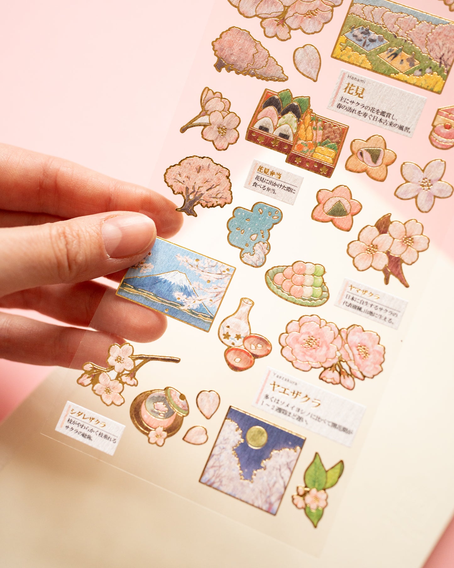 Stickers Sakura Adult Picture Book Kamio