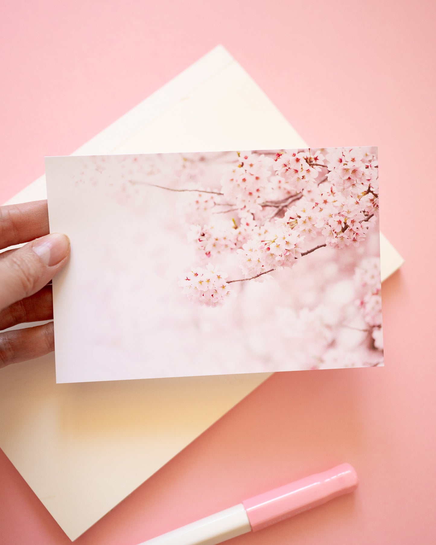 Carte Postale Photo Sakura Cerisiers Japonais