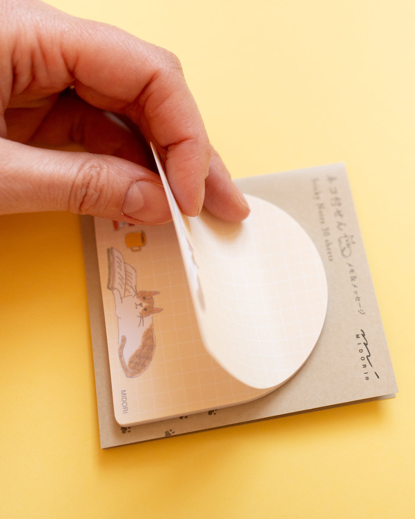 Reading Cat Sticky Notes