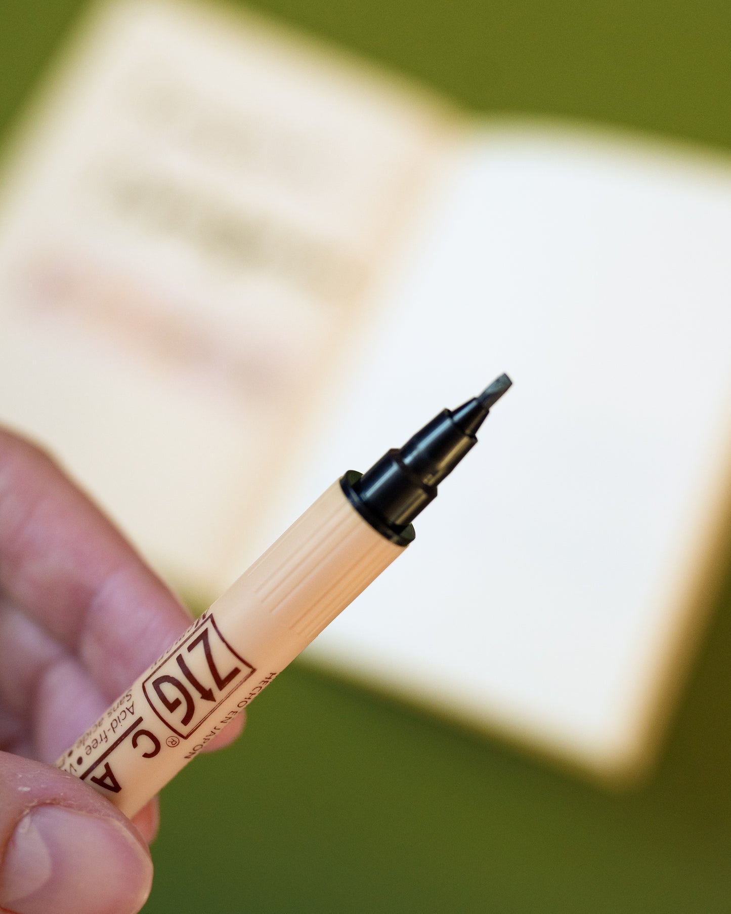 Marqueur Kuretake ZIG Memory System Calligraphy 2