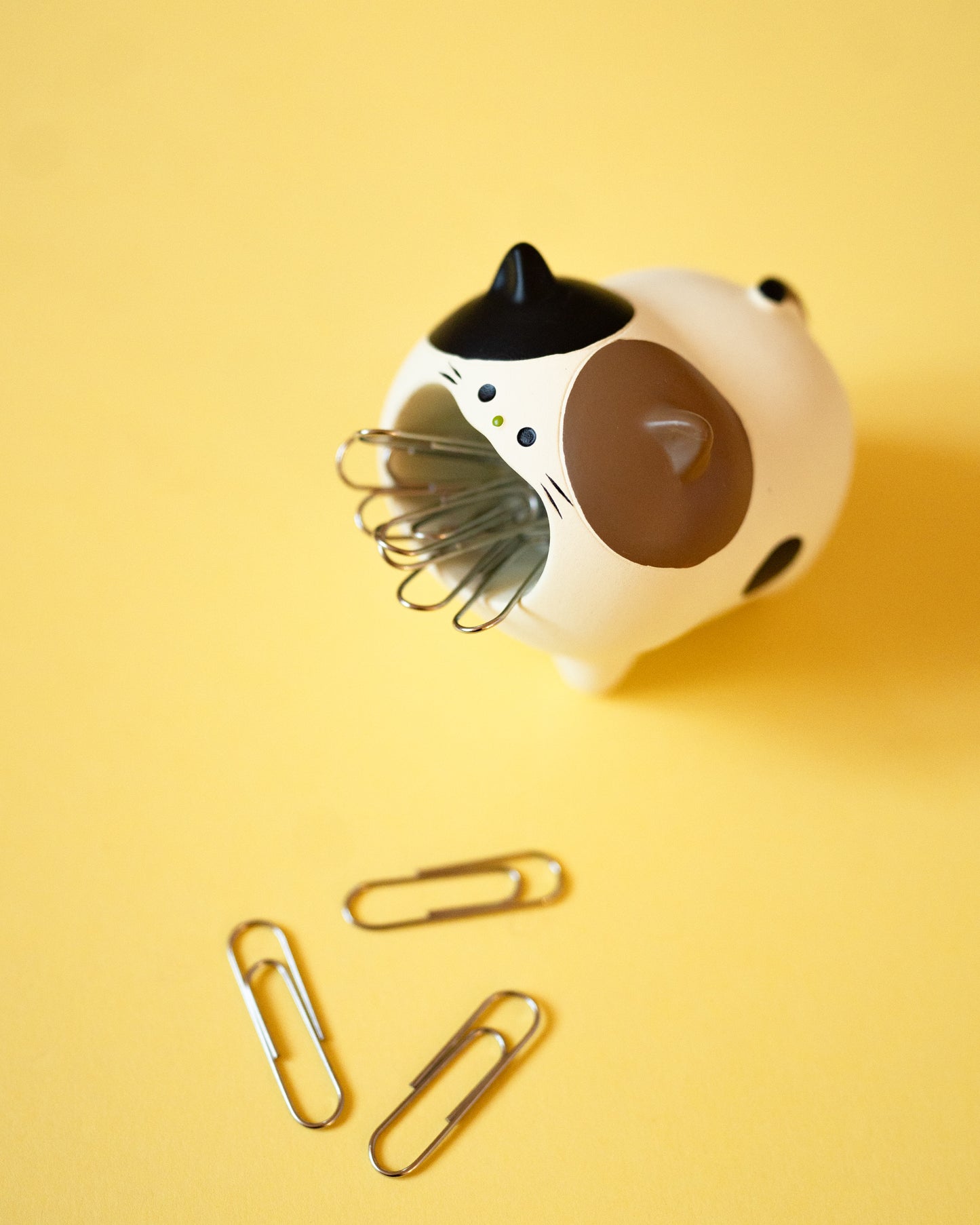 Porte-trombones Chat