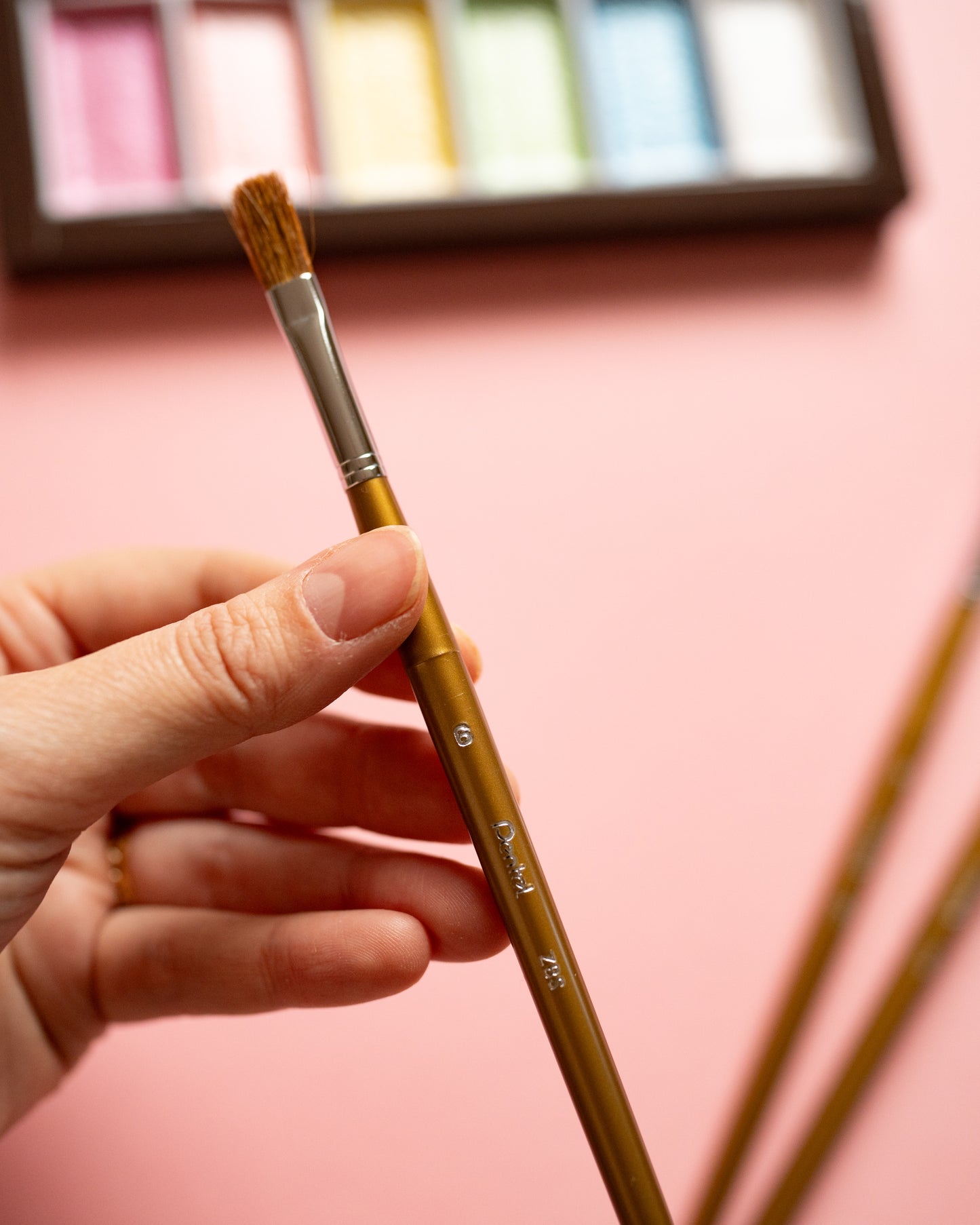 Pinceaux Premium Plats Pentel 4 tailles au choix