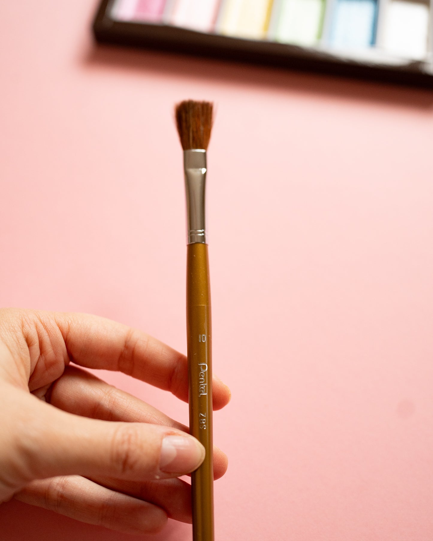 Pinceaux Premium Plats Pentel 4 tailles au choix