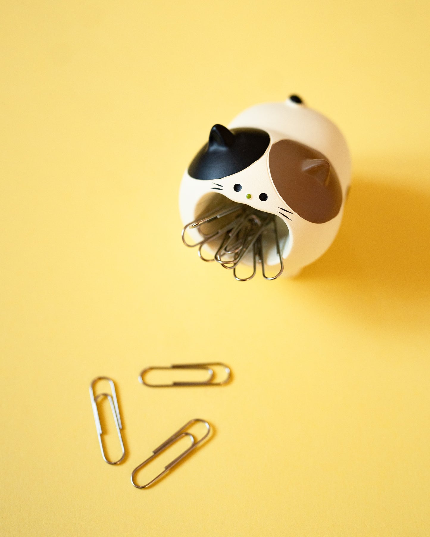 Porte-trombones Chat