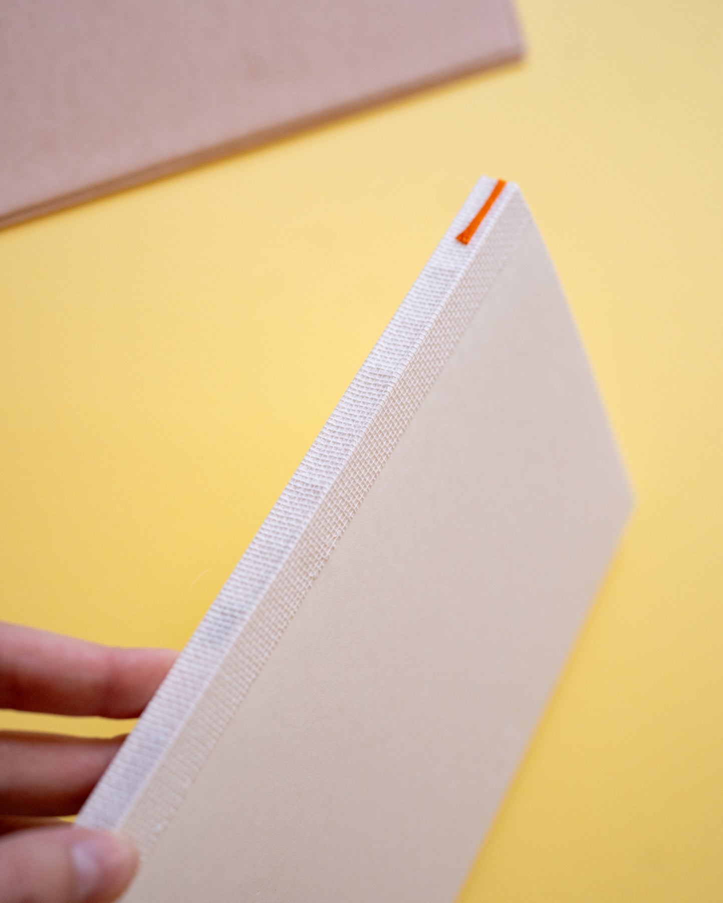 Agenda 2025 MD Notebook Diary A5 Midori