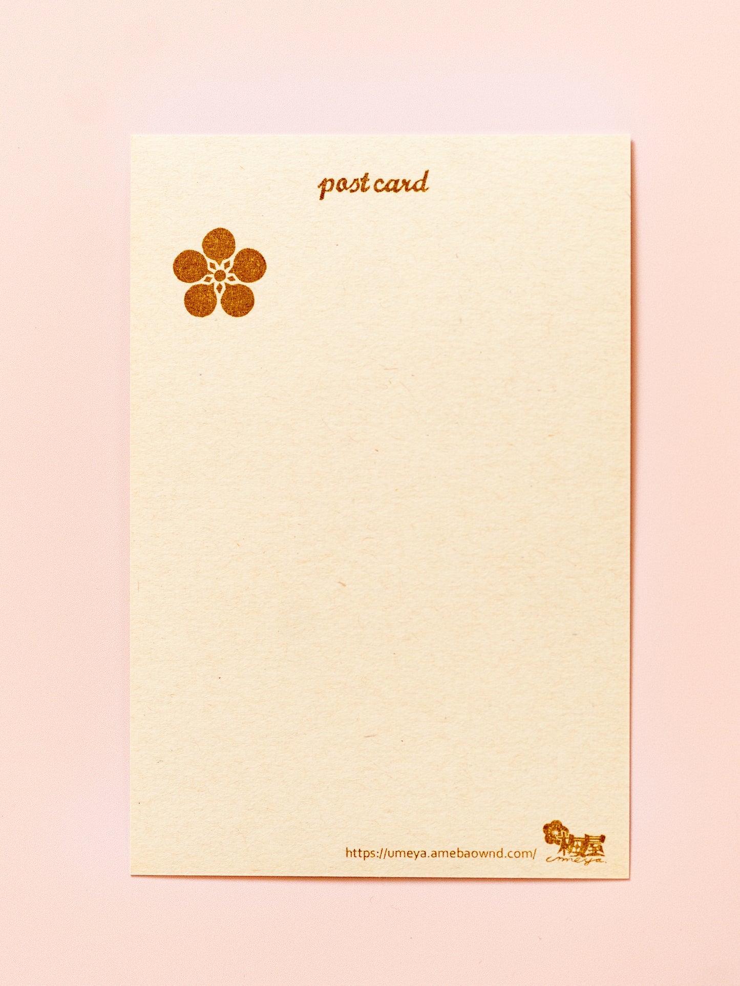 Carte Retro Lapin