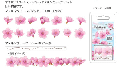 Kawazu Cherry Blossom Washi Tape Stickers (2 rolls)