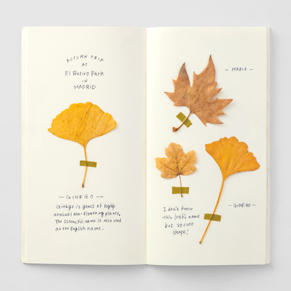 MD Paper Regular Traveler's Company Cream Paper Notebook 025