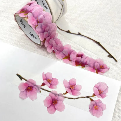 Kawazu Cherry Blossom Washi Tape Stickers (2 rolls)