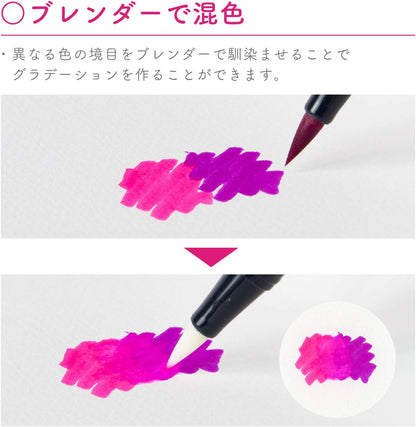 Set of 12 Double Tip Pastel Markers Tombow Dual Brush Pen ABT