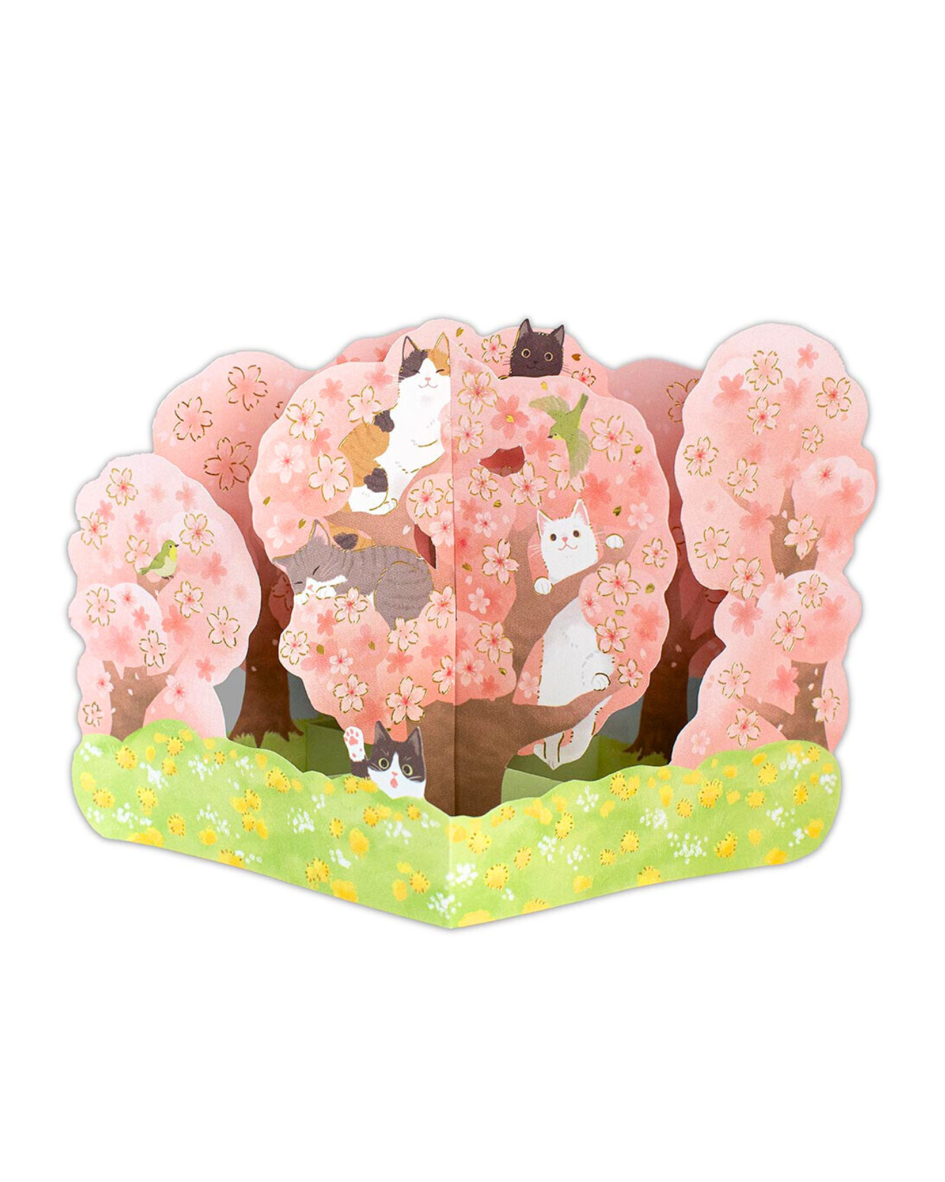 Carte 3D Sakura et Chats