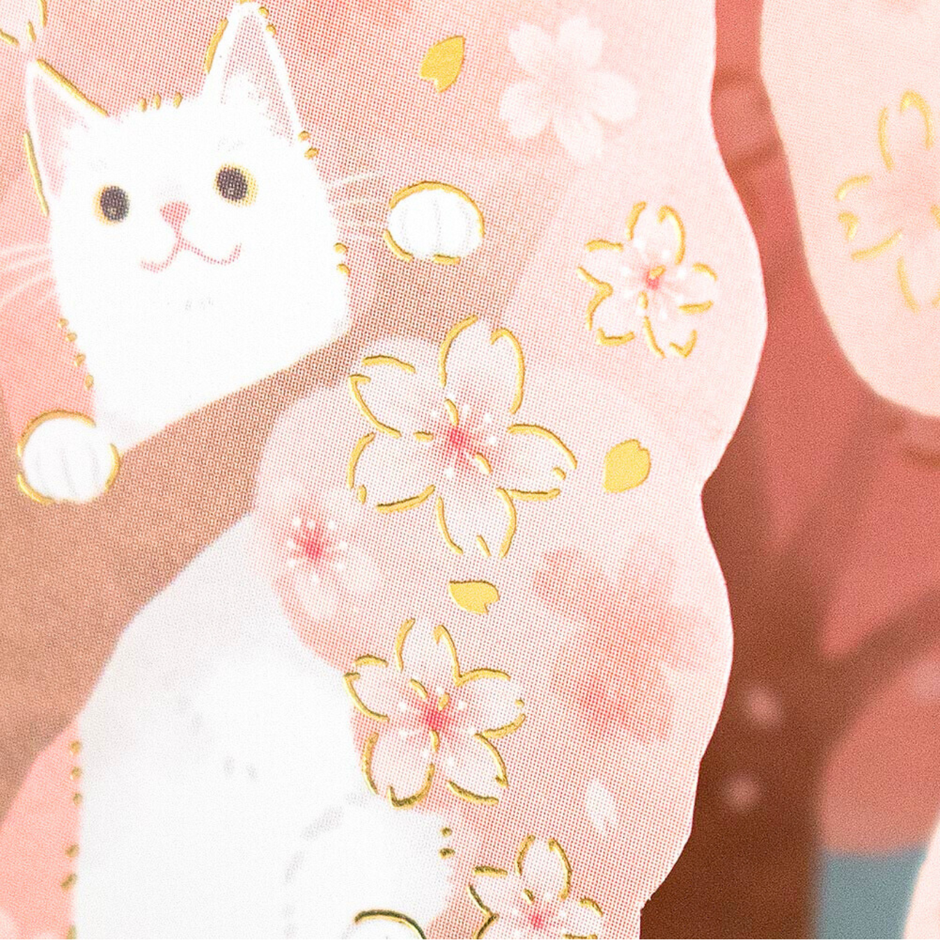 Carte 3D Sakura et Chats