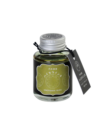 Taisho Roman Haikara Teranishi Guitar Fountain Pen Ink – Emotional Olive