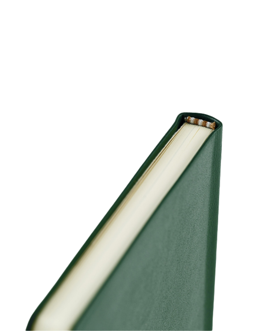 Agenda Hobonichi Techo Weeks – Leather Forest Green 2027