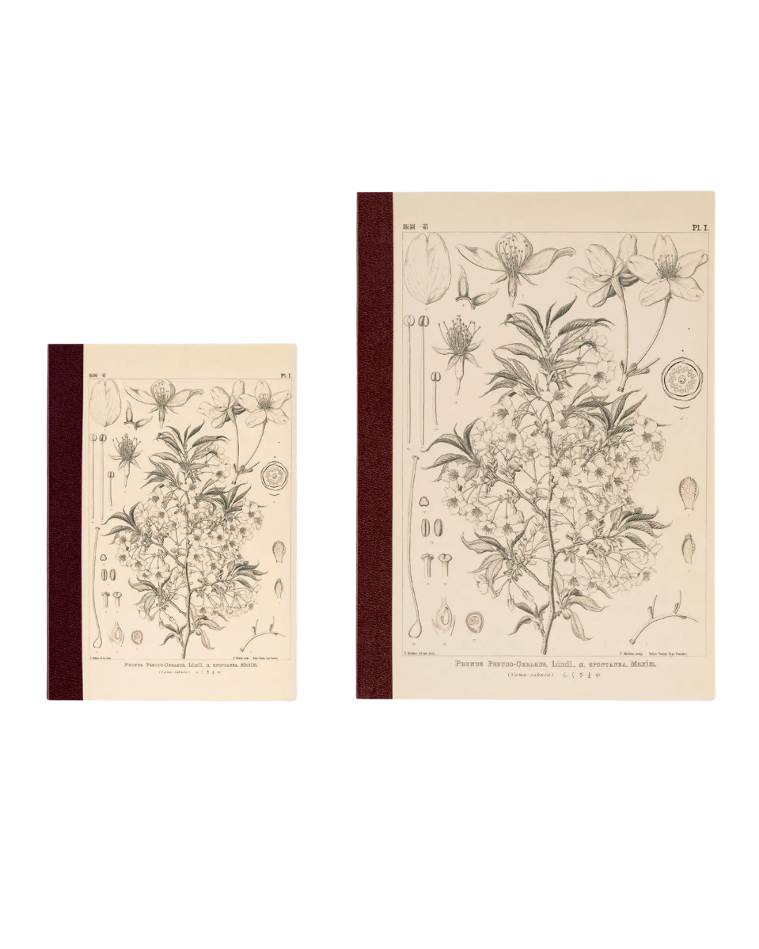 Hobonichi Graph Notebook A6 – Tomitaro Makino : Yamazakura