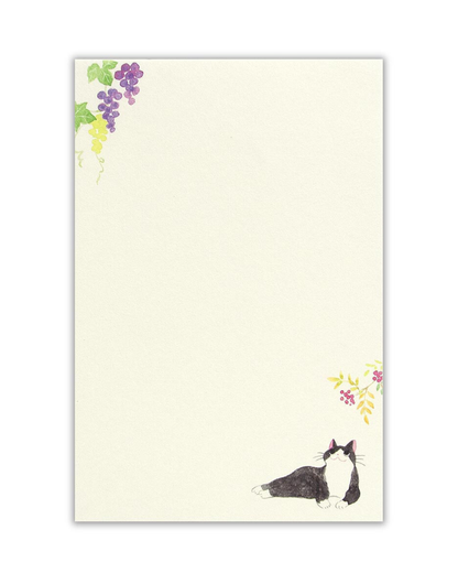 Papier à Lettres Chats Fun Autumn – NB Co.