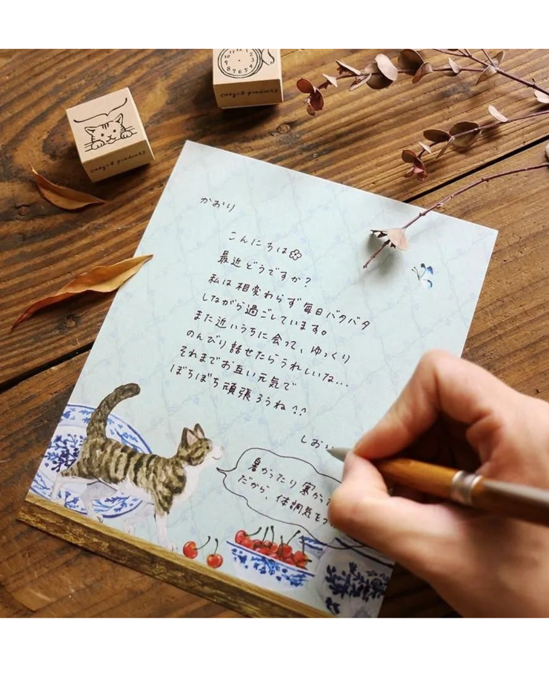 Set de Papier à Lettres Kitten's Life – Midori Asano