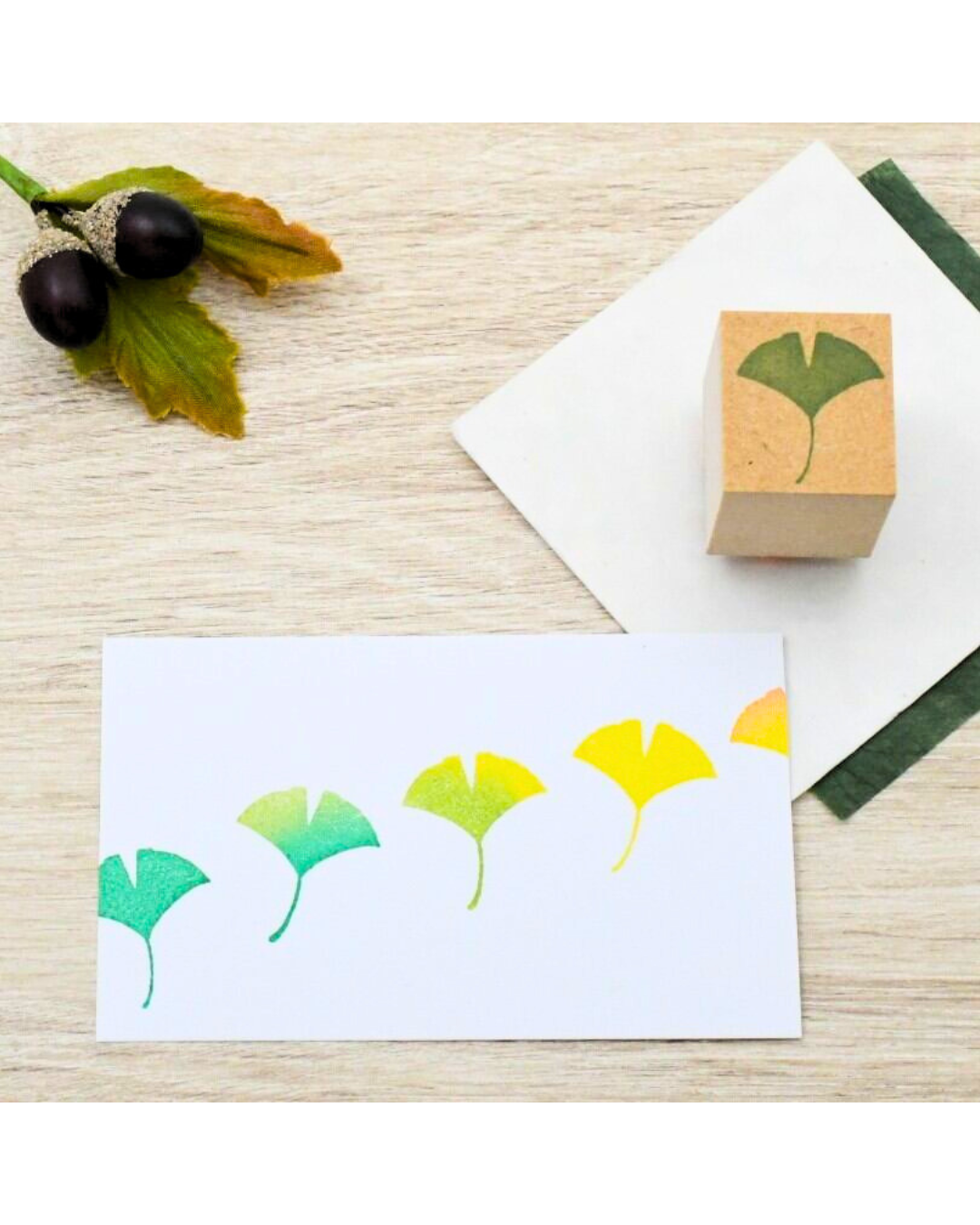 Tampons Feuille Ginko Akane
