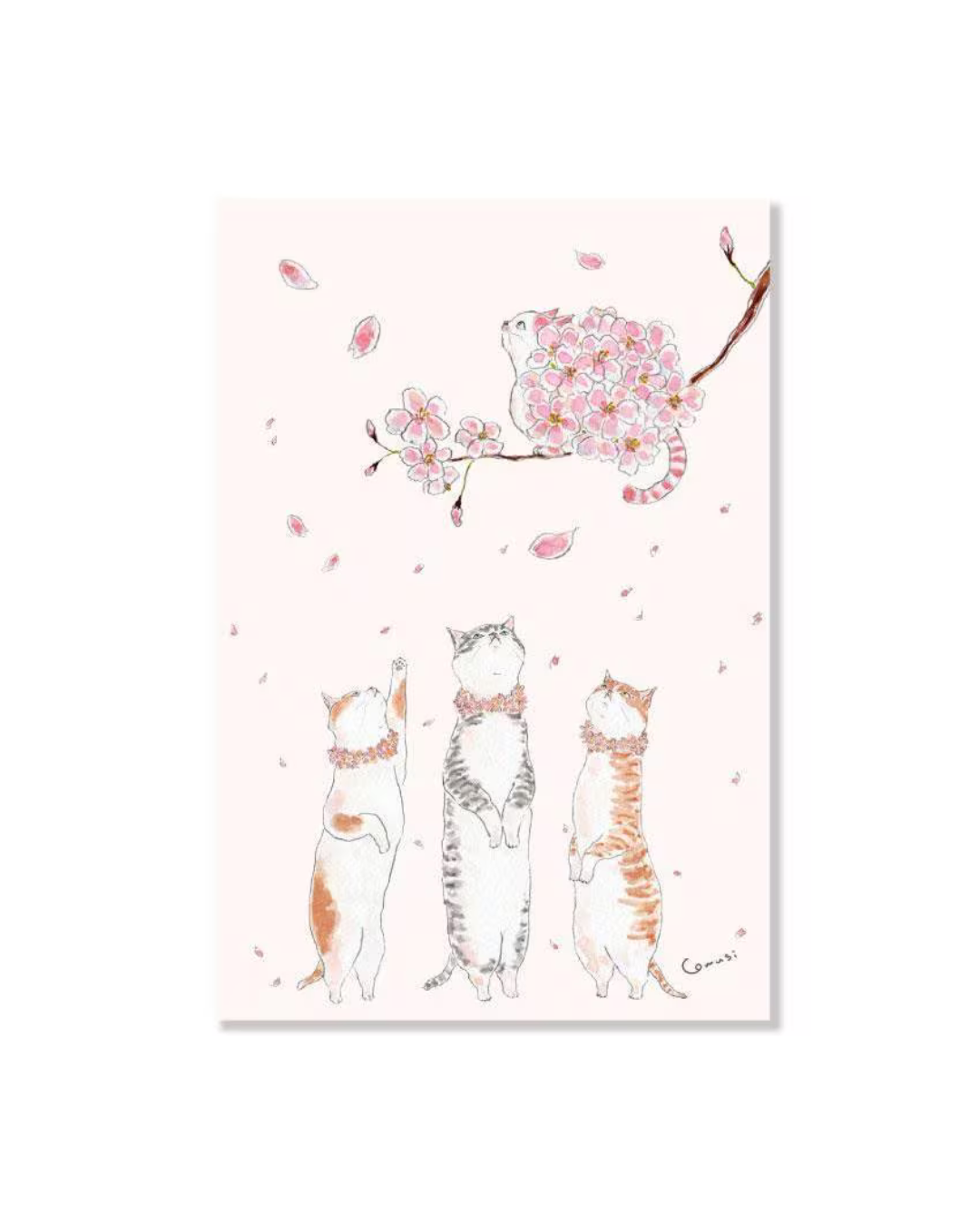 Carte You and the Cherry Blossoms – Tokoro Tomugi