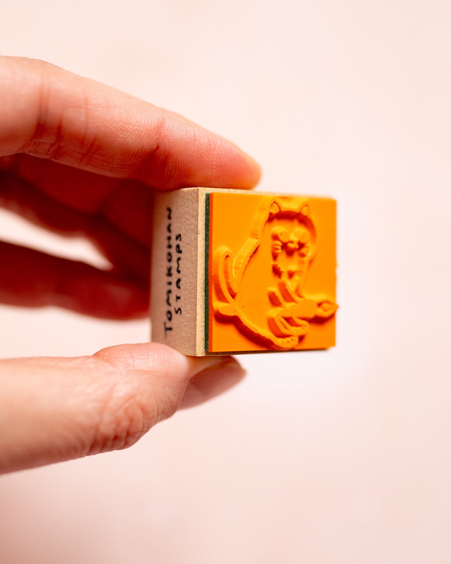 Tampon Tomikohan Fountain Pen Cat