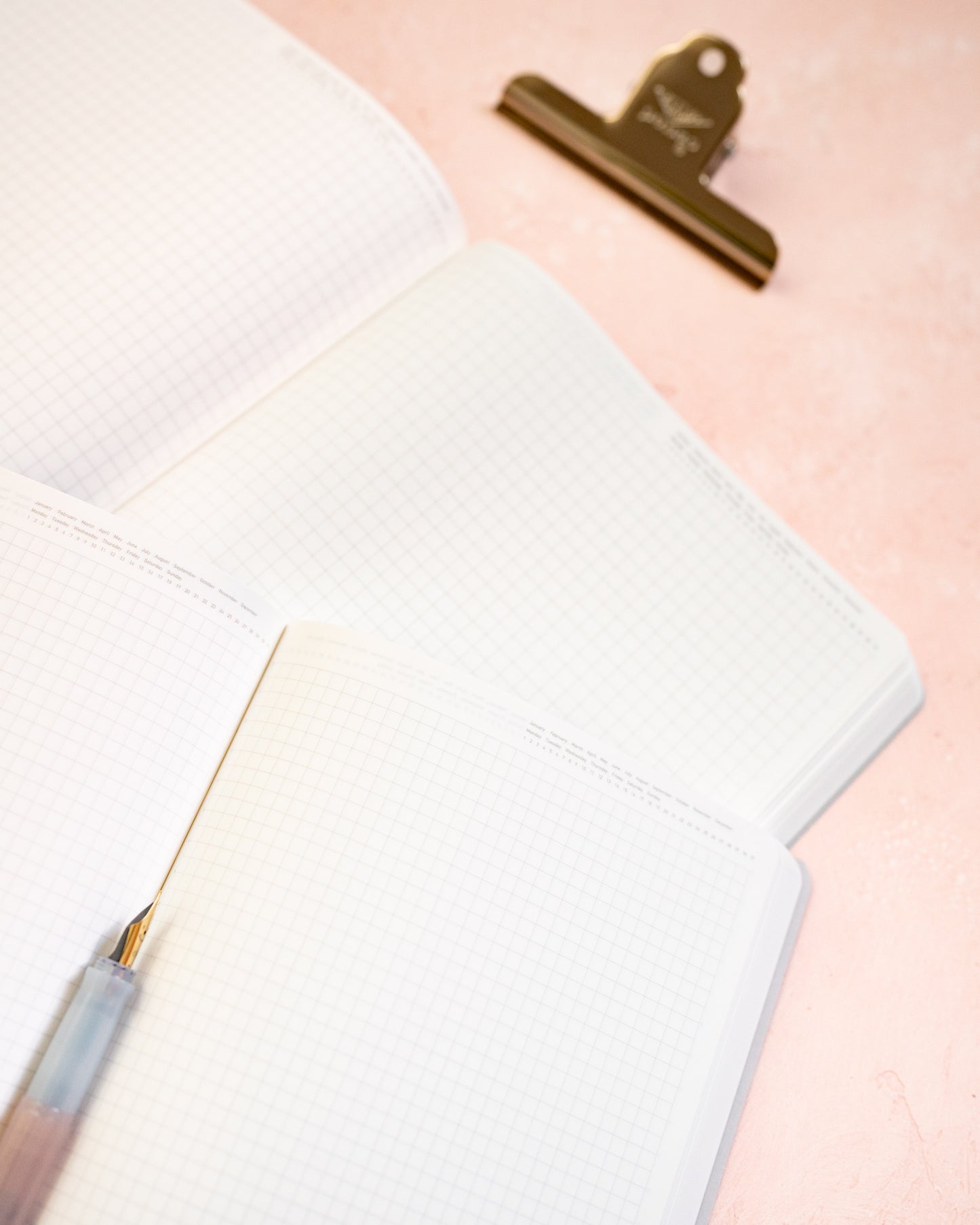 365 Days Notebook Stalogy Editor's Series A5