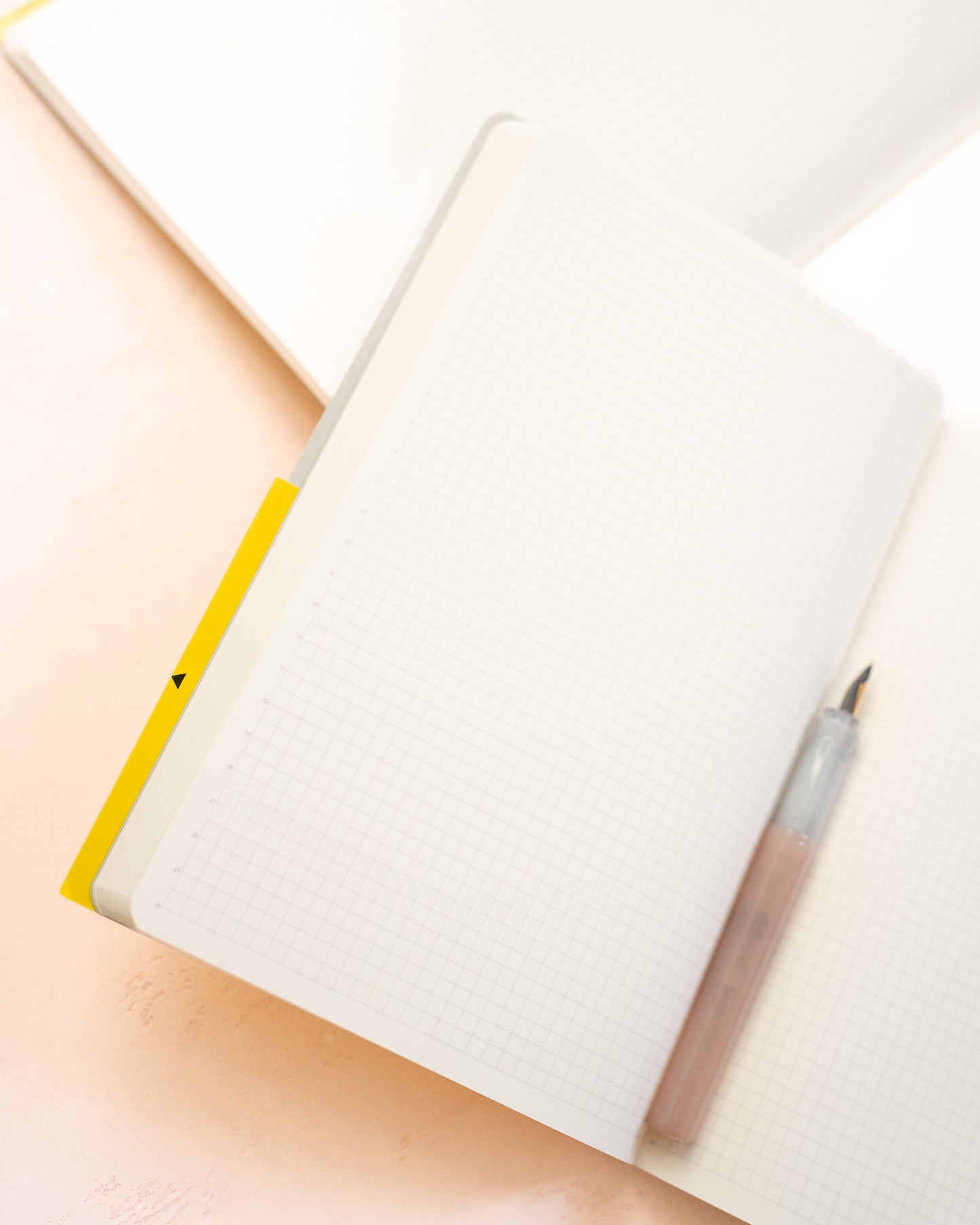 365 Days Notebook Stalogy Editor's Series A5