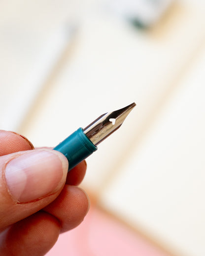 Plume Interchangeable Dip Pen Sailor Hocoro 1.0 mm – Calligraphie et Lettrage Expressif