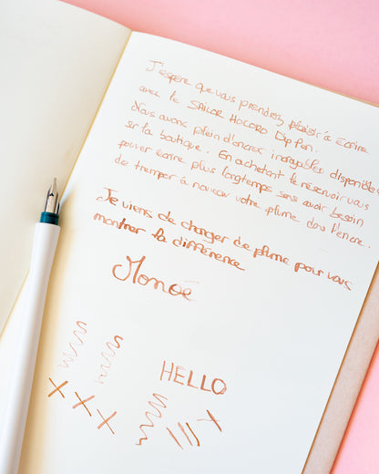Plume Interchangeable Dip Pen Sailor Hocoro 1.0 mm – Calligraphie et Lettrage Expressif