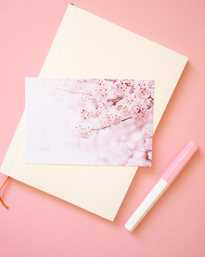 Photo Postcard Sakura Japanese Cherry Blossoms