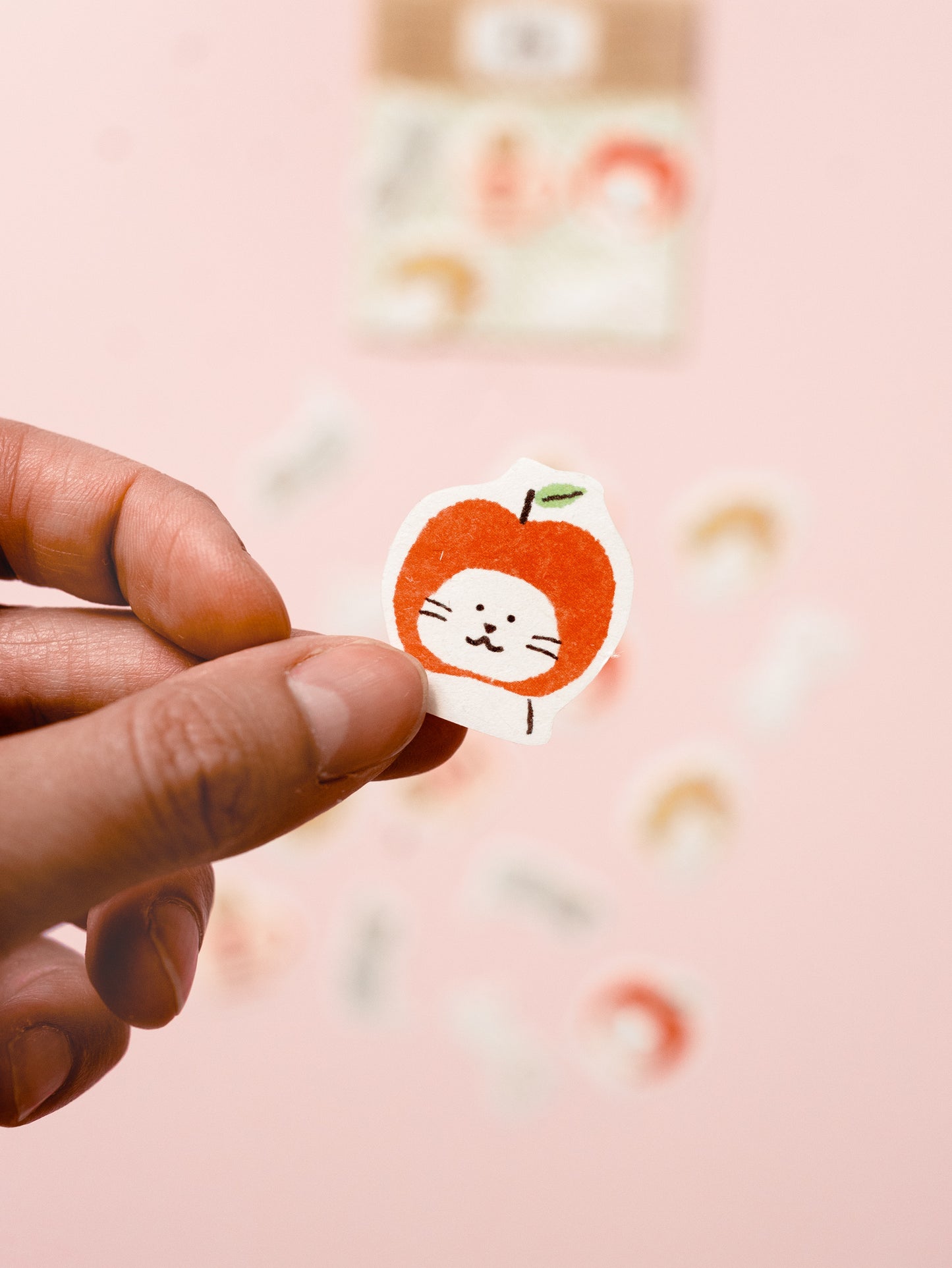 Washi Flakes Stickers Chats Pommes